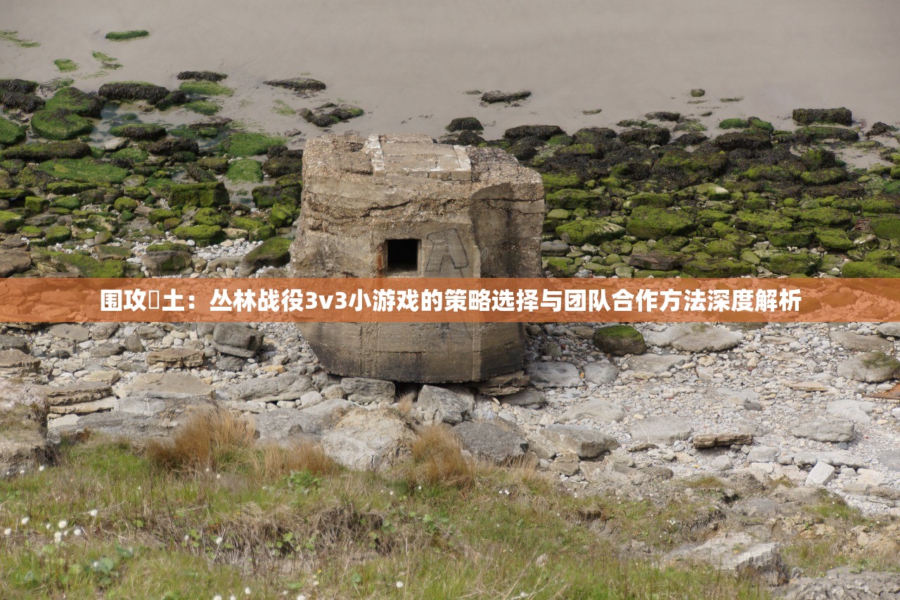 围攻熱土：丛林战役3v3小游戏的策略选择与团队合作方法深度解析