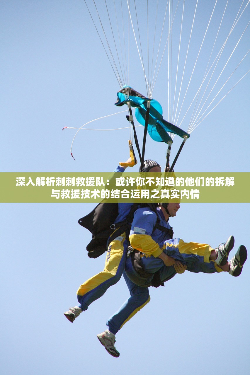 澳门天天六开彩正版澳门|探寻历史背后的秘密与故事_水晶制.1.445