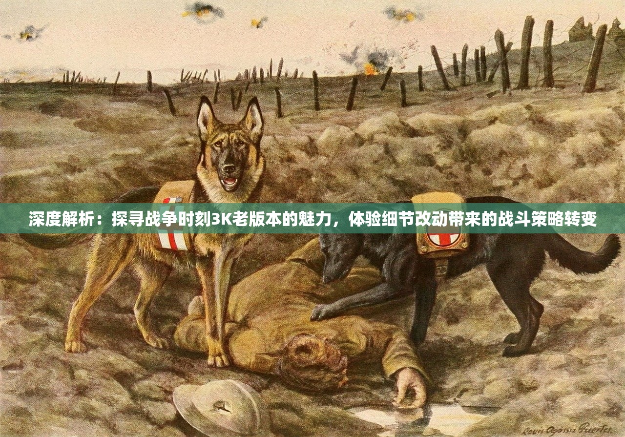 49tkcom49图库资料大全|探索新兴趋势与精彩故事_探索集.6.585