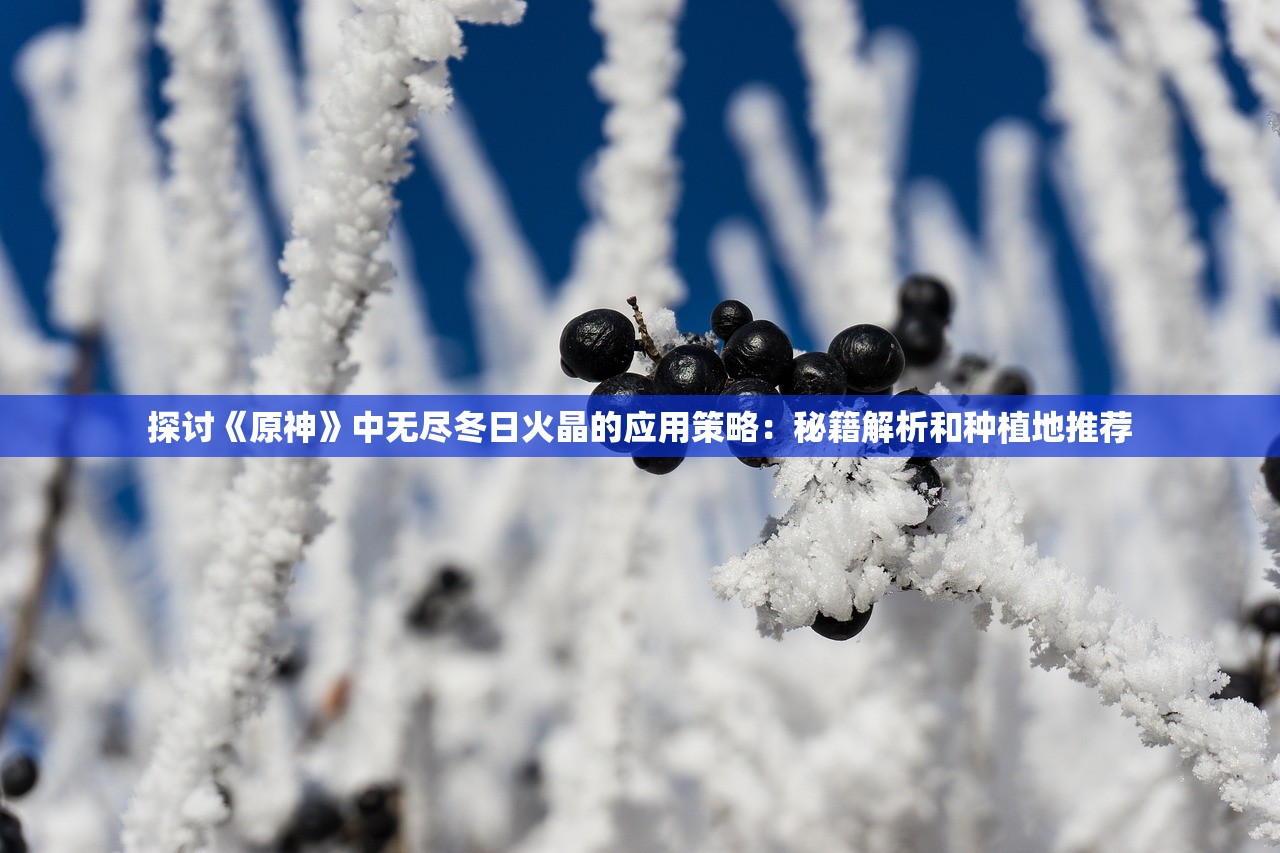 新澳天天开奖资料大全262期|系统研究解释落实_完美款.1.876 新澳天天开奖资料大全262期|系统研究解释落实_完美款.1.876