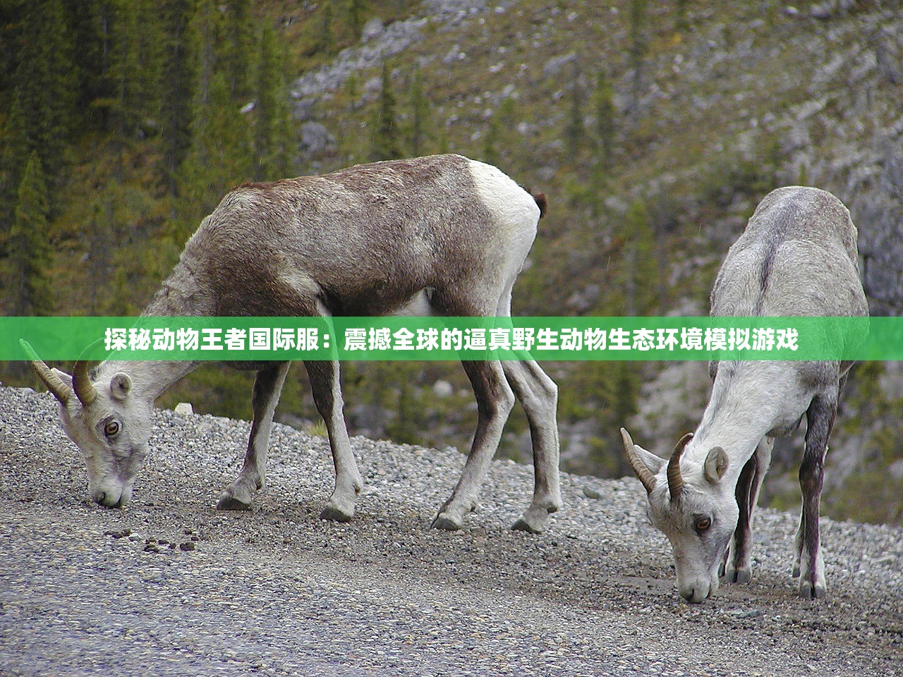 新澳天天开奖资料大全262期|系统研究解释落实_完美款.1.876 新澳天天开奖资料大全262期|系统研究解释落实_完美款.1.876