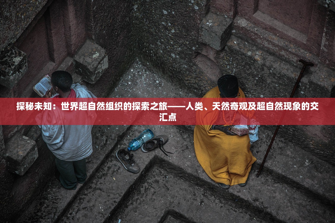今期四不像正确一肖|探寻幸运密码与生活智慧_VIP0.71