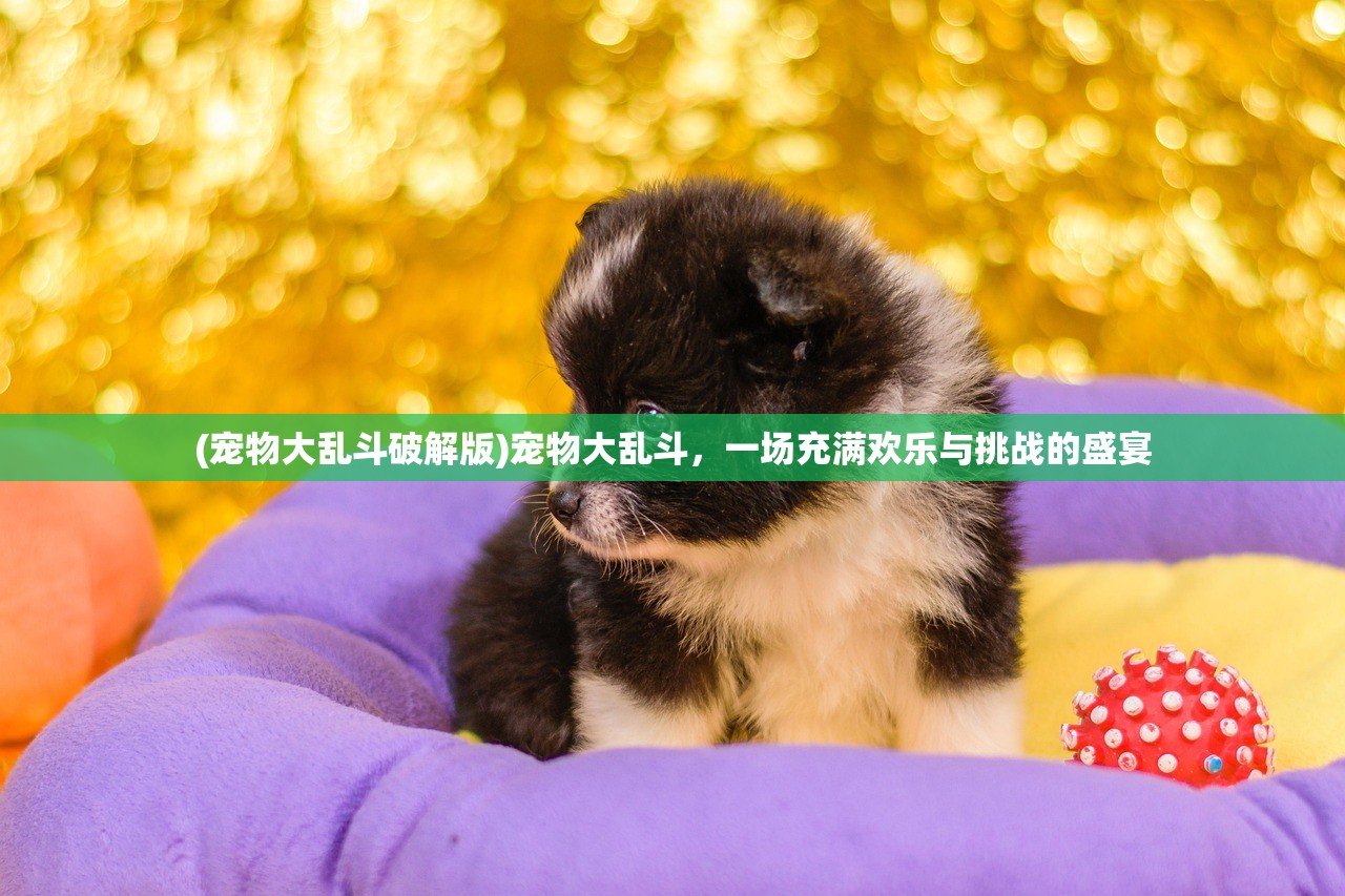 (吞食天地一共几部电影)吞食天地系列,全面回顾与深度解析 (吞食天地一共几部电影)吞食天地系列,全面回顾与深度解析