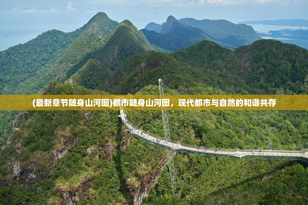 (指挥官是什么动漫)指挥官动画，策略与魅力的完美结合