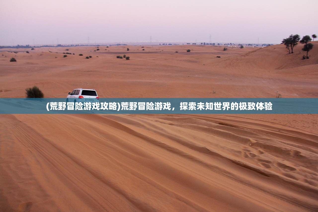 (荒野冒险游戏攻略)荒野冒险游戏，探索未知世界的极致体验