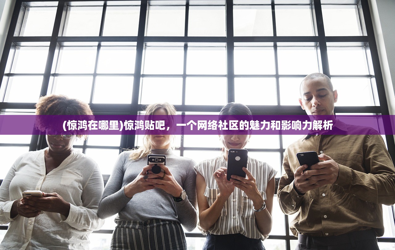 (惊鸿在哪里)惊鸿贴吧，一个网络社区的魅力和影响力解析