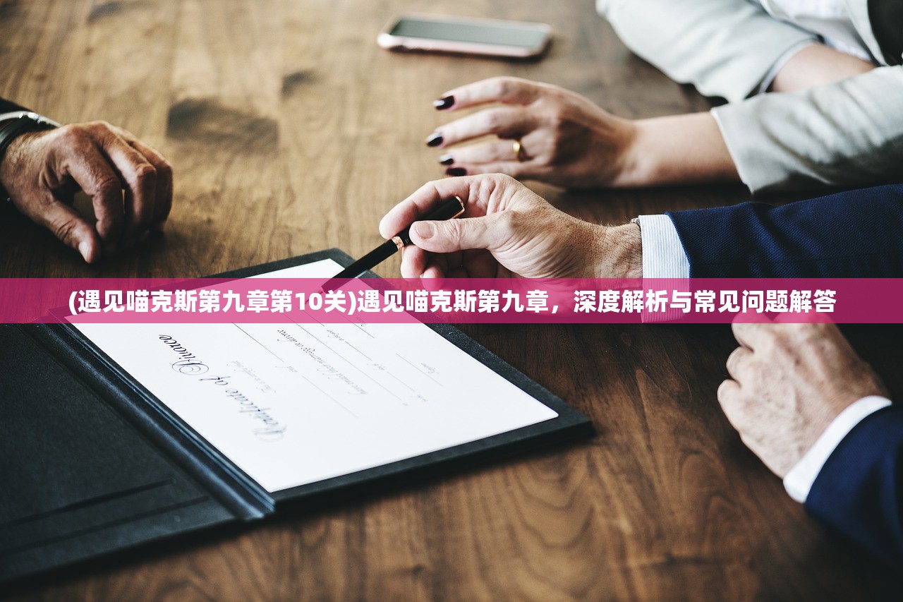 (遇见喵克斯第九章第10关)遇见喵克斯第九章,深度解析与常见问题解答 (遇见喵克斯第九章第10关)遇见喵克斯第九章,深度解析与常见问题解答