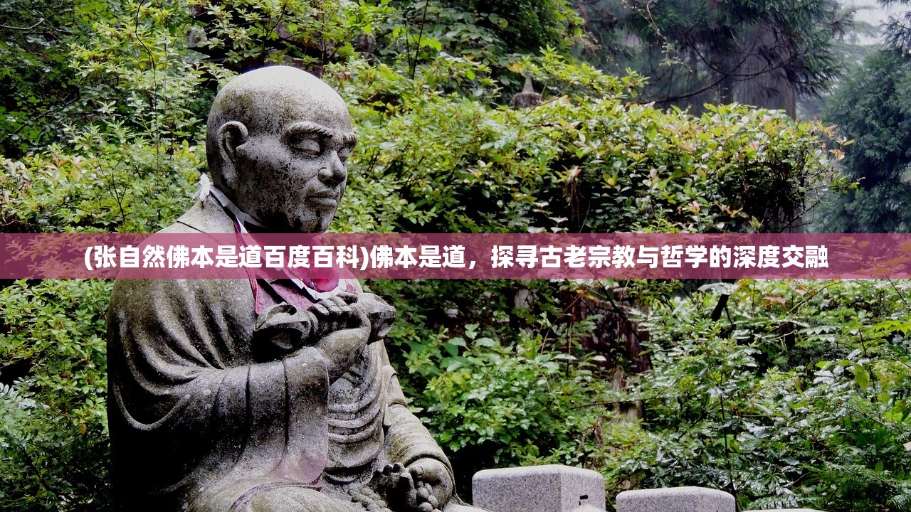 (剑网1归来门派介绍)剑网1归来门派介绍，重温经典，探索各门派独特魅力